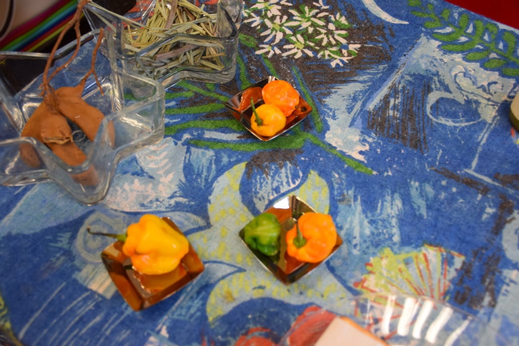 Trying some hot peppers and spices at Genuinely Bahamian