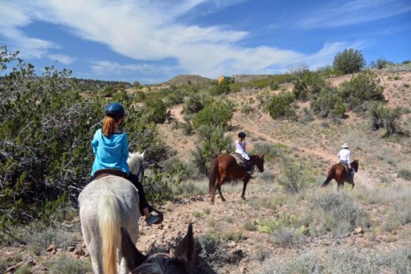 On the Desert Trail