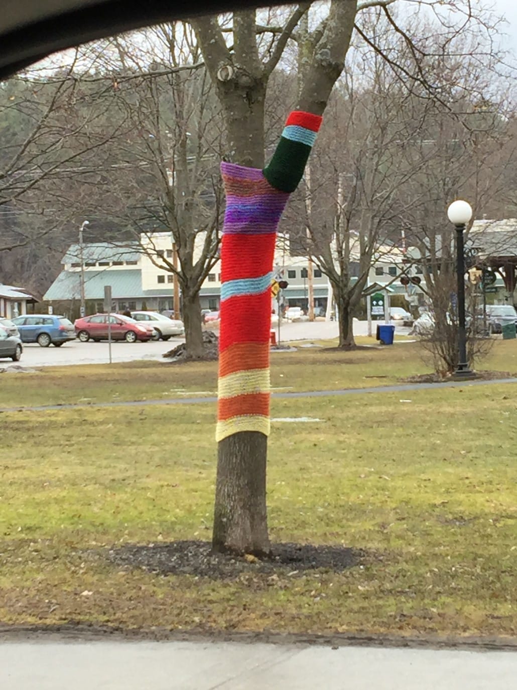 Tree sweater: SO Vermont!