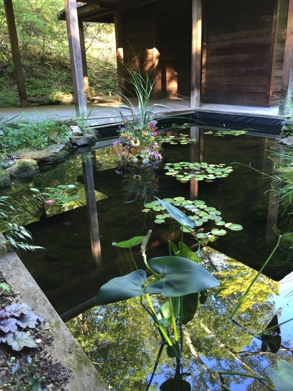 Serenity Pond at the Meditation Chapel