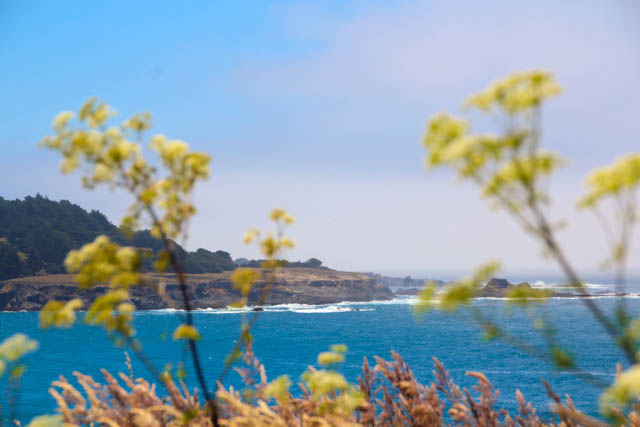 View from town of Mendocino