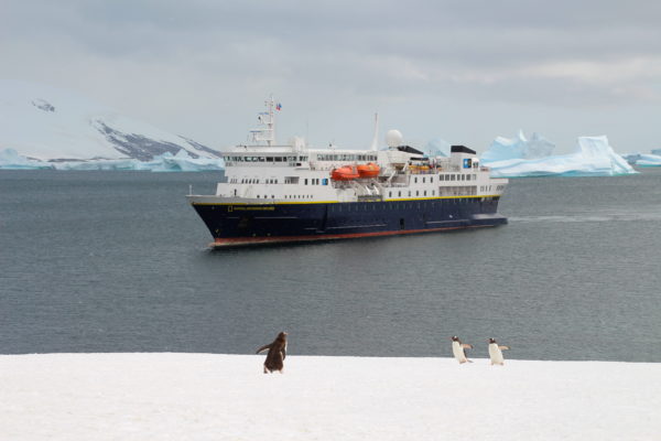 Gentoo penguins and our boat