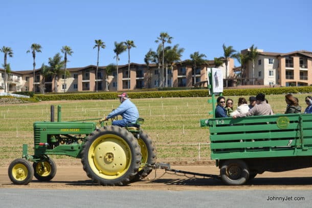 Wagon Rides at the Carlsbad Flower Fields 