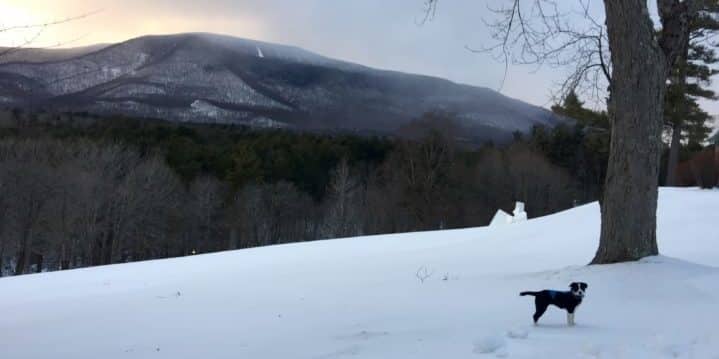 Indigo at sunset at the Wilburton Inn