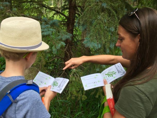 ACES naturalist Jamie Werner helps Ames identify trees