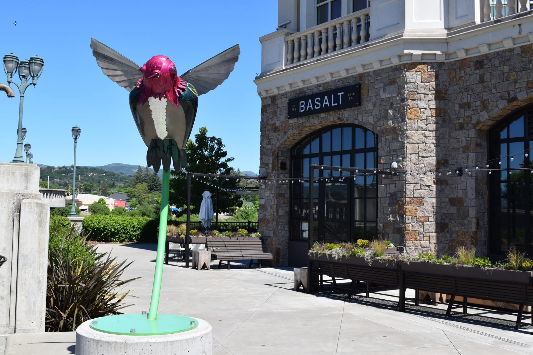 "Timeless Joy" by Lt. Mustardseed on Napa ARTwalk