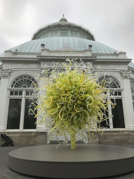 Chihuly magic at NYBG