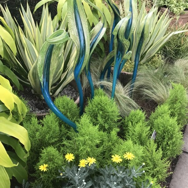 More Chihuly at NYBG
