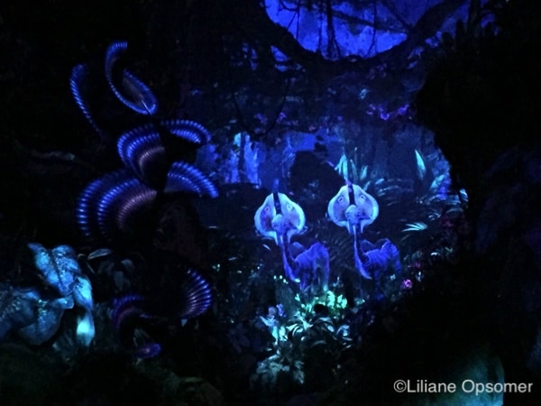 Inside the Na'vi River Journey