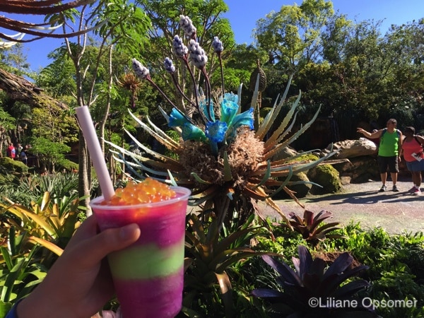 "Night Blossom": A mixture of limeade with apple and desert pear flavors topped with passionfruit boba balls