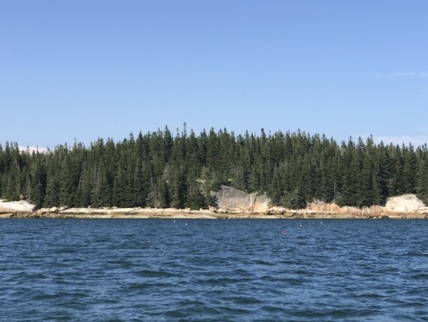 Island in Penobscot Bay