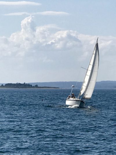 A perfect sailing day