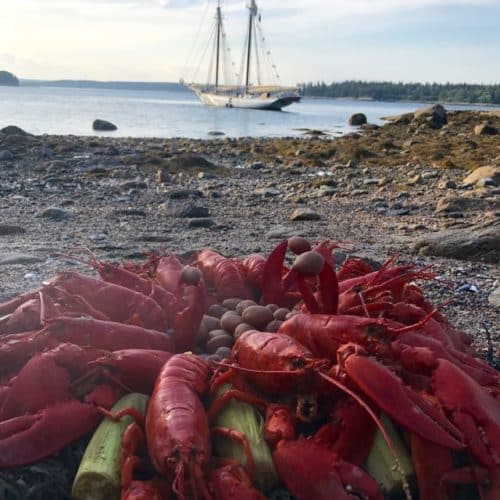 Lobster bake a la schooner Mary Day