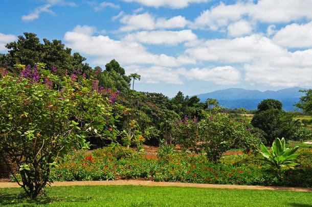 The garden at Ngorongoro Farm House