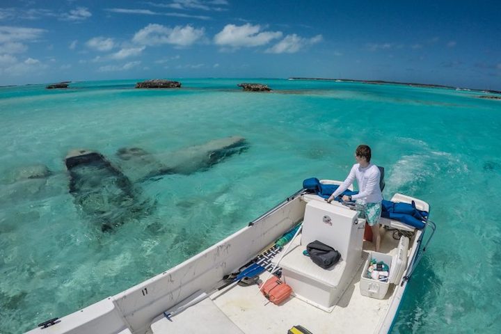 The underwater drug smugglers' plane wreck at Staniel Cay