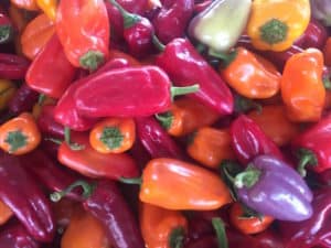 Peppers at the Farmer's Market