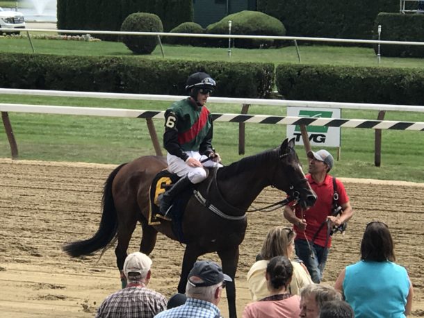 Saratoga race horse #6