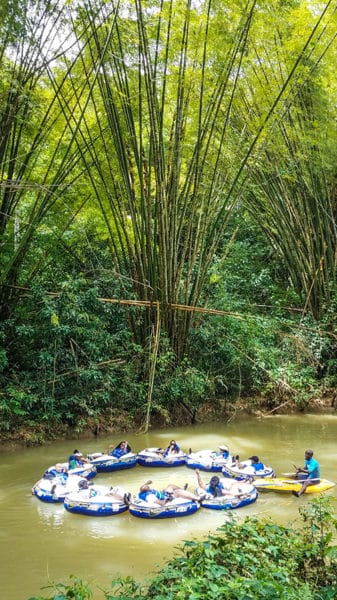 Gently tubing down the Martha Brae River beneath the largest bamboo trees I've ever seen