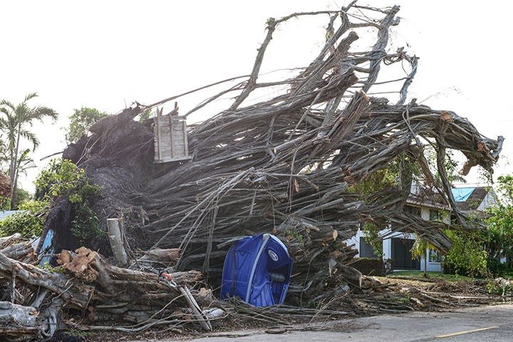 Though most of the storm damage was cleaned up, a few debris piles remained