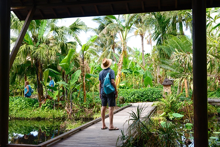 Visitors walk through the Naples Botanical Garden