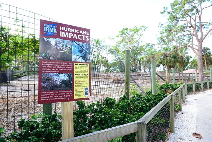 Oasis exhibit needing repair after Irma