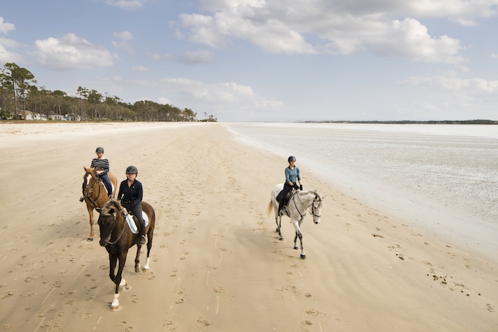 Riding horses on the beach (Credit: Haig Point)