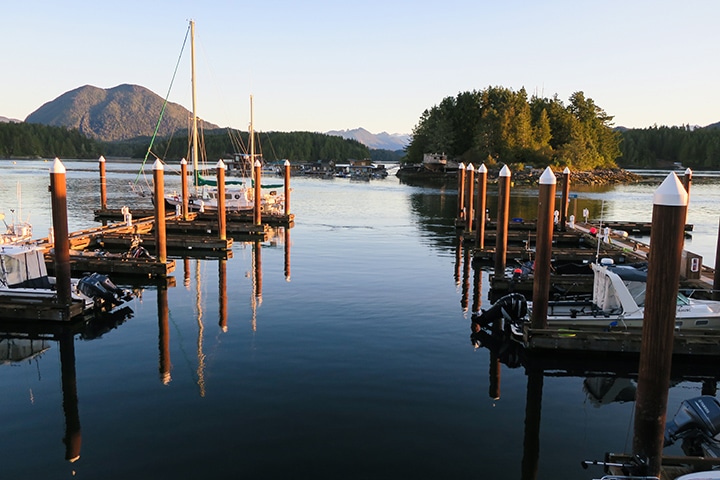 The marina at Tofino Marina + Resort