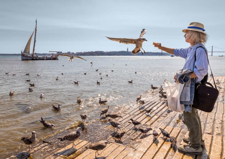 The bird man of Lisbon on the river Tagus