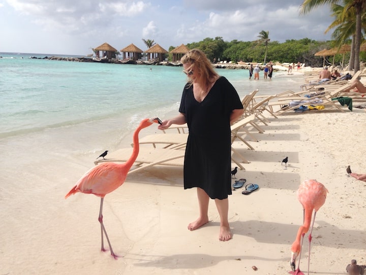 Flamingo Beach: home of the only flamingos in Aruba