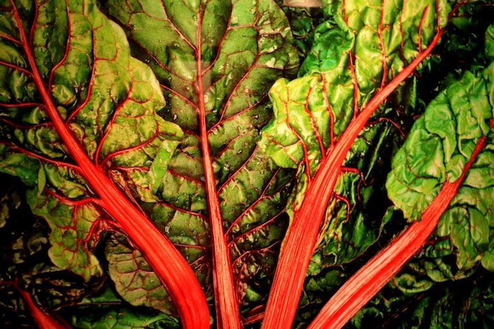 Nathan Myhrvold's photo of Swiss chard at Modernist Cuisine Gallery (Credit: Bill Rockwell)