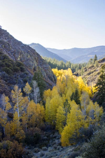 Hunter Creek Trail (Credit: TravelNevada)