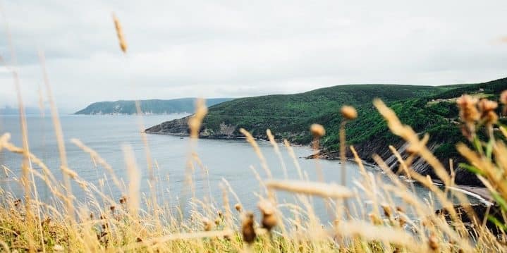 20 stops to make on a Cape Breton road trip