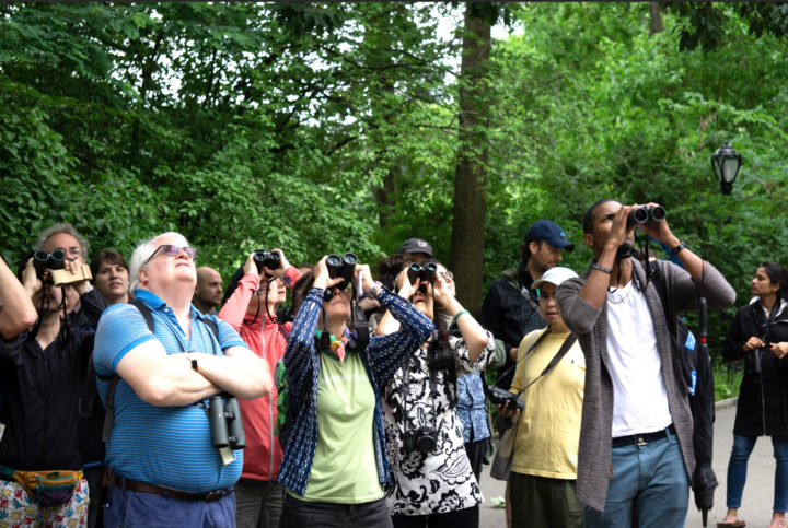 Audubon tour (Credit: NYC Audubon)