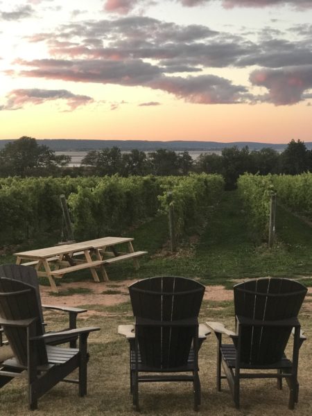 View from Lightfoot & Wolfville Vineyards