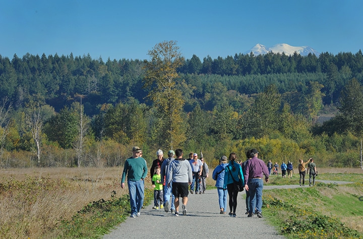 Mt. Rainier can be seen from Nisqually National Wildlife Refuge
