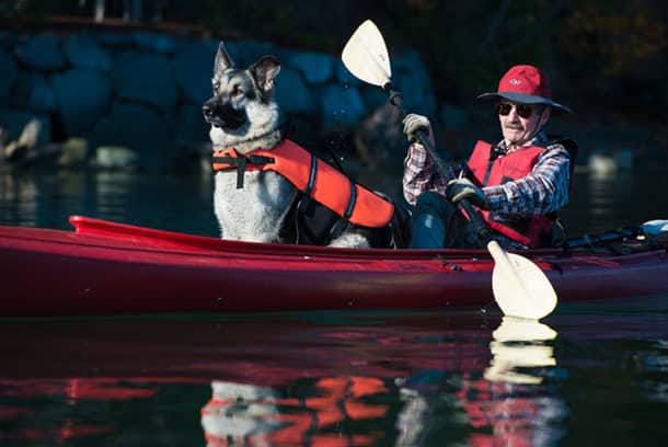 Early morning kayak tour with the Inn at Mallard Cove innkeeper Don and his shepherd, Baron