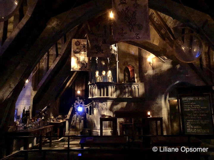 Inside Hogwarts Castle