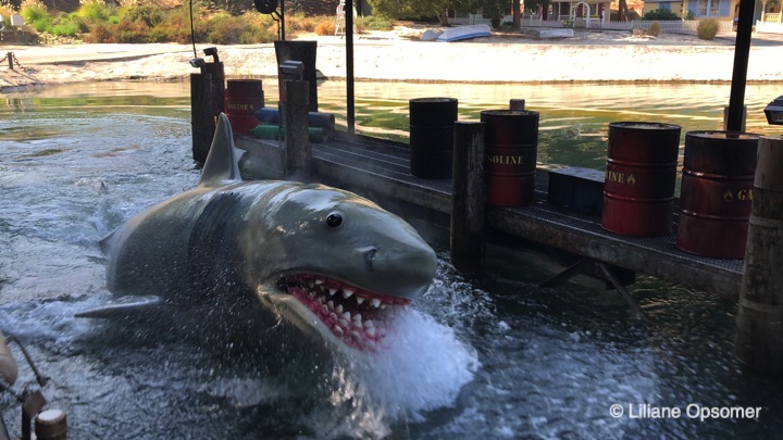 Bruce the shark from Jaws