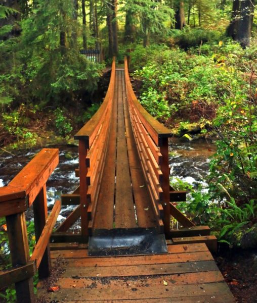 Bridge over Necarney Creek at Oswald West State Park (Credit: Bill Rockwell)