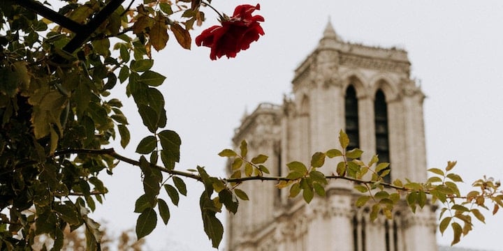How to skip the Notre-Dame line in Paris