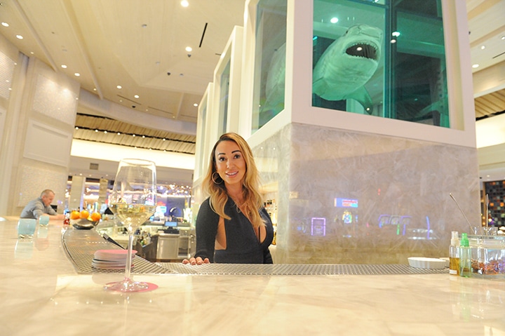 A segmented shark, preserved behind glass and in formaldehyde, dominates the lobby bar