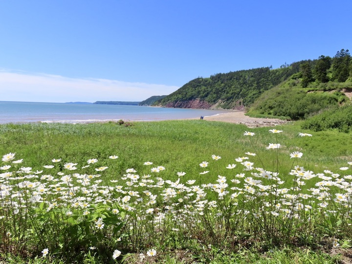 Long Beach on the Fundy Trail Parkway
