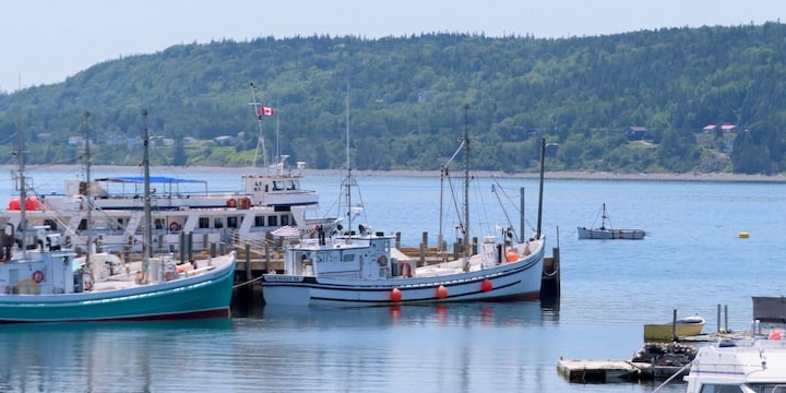 10 Bay of Fundy road trip stops