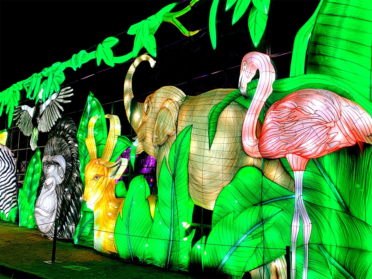 The L.A. Zoo Lights: Animals Aglow Exhibit is a Dazzling Display and